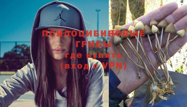 меф Горнозаводск