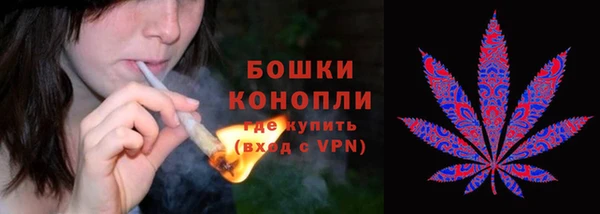 не бодяженный Горно-Алтайск