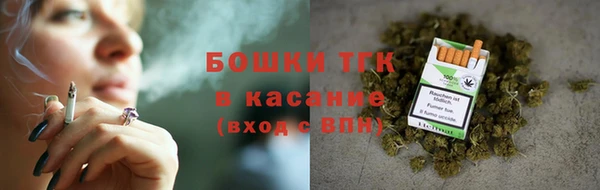 прущие грибы Горняк